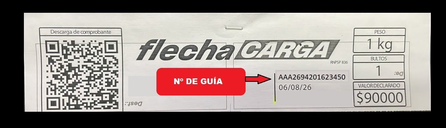 Ejemplo de remito Flecha Carga